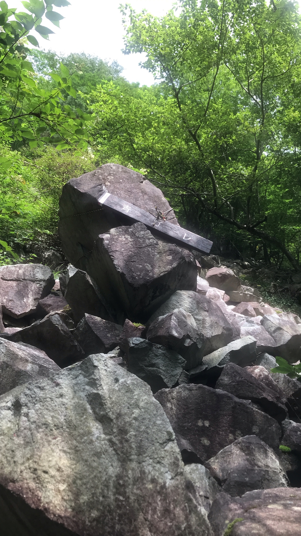 比良山系最高峰・武奈ヶ岳２発の写真27