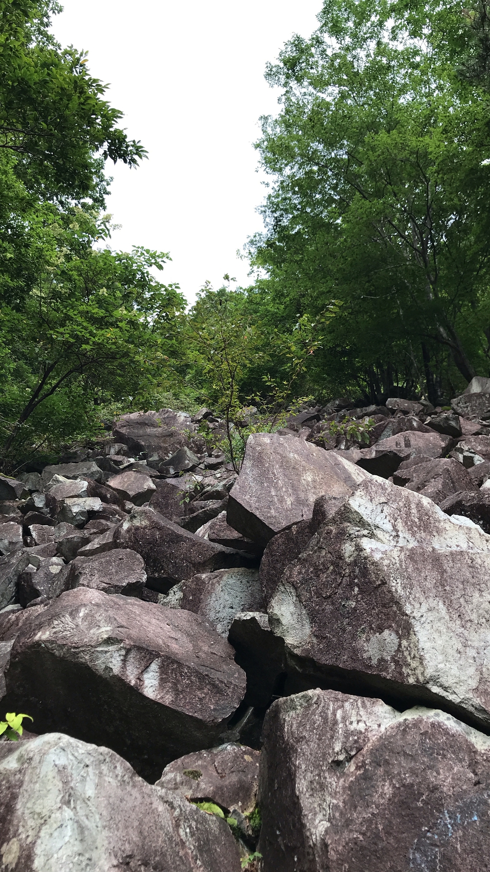 比良山系最高峰・武奈ヶ岳２発の写真28