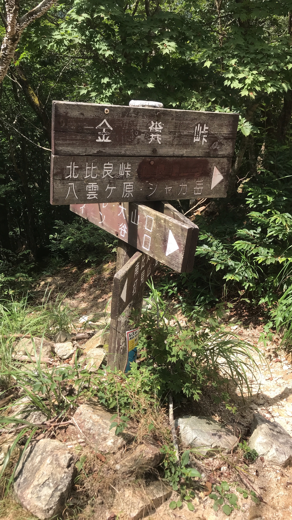 比良山系最高峰・武奈ヶ岳２発の写真29