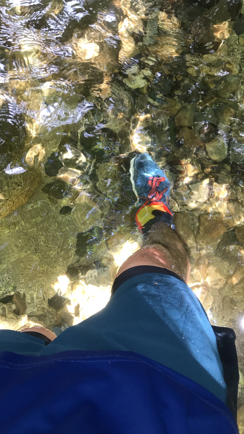 比良山系最高峰・武奈ヶ岳２発の写真31