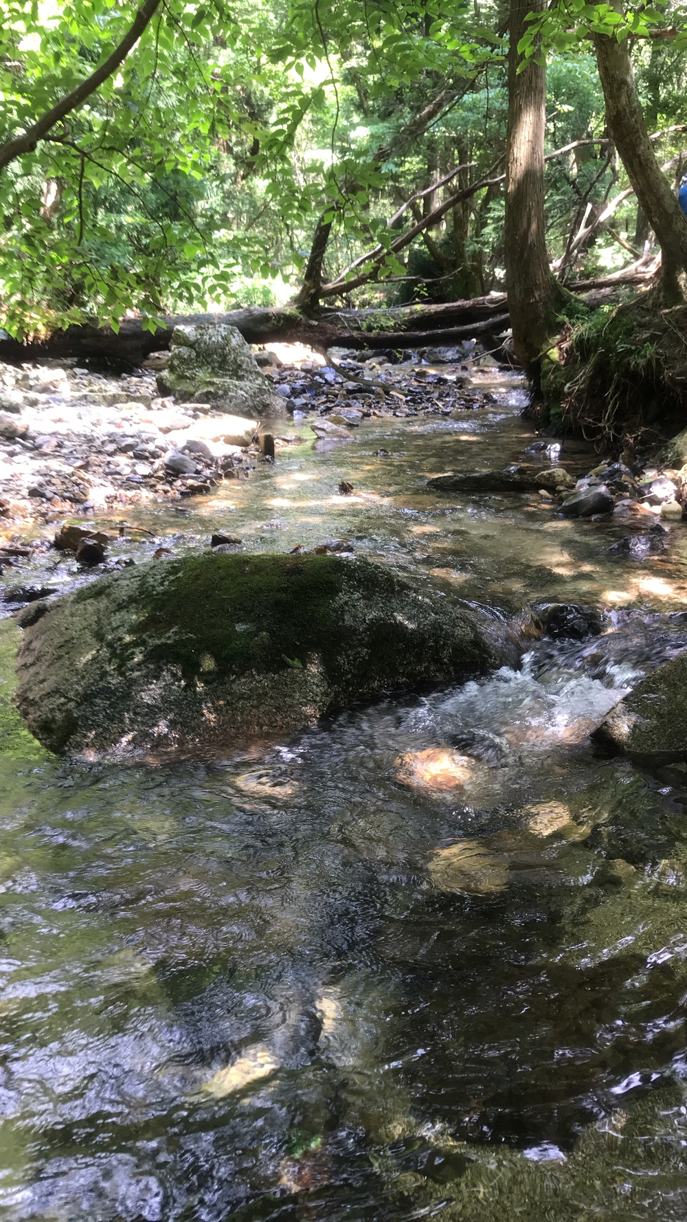 比良山系最高峰・武奈ヶ岳２発の写真32