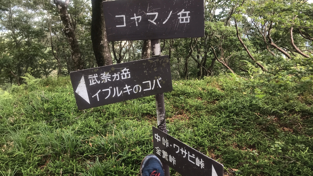 比良山系最高峰・武奈ヶ岳２発の写真34