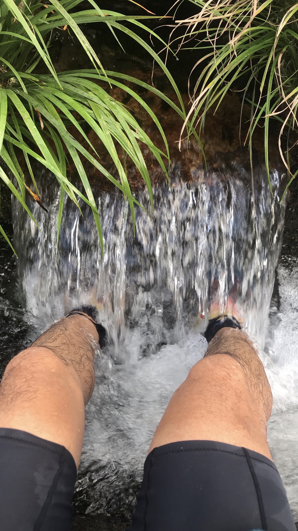 比良山系最高峰・武奈ヶ岳２発の写真42