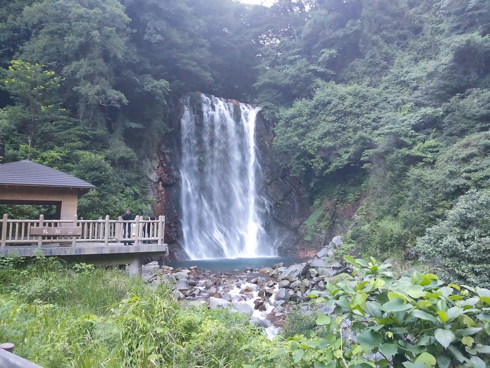 霧島温泉ランの写真3