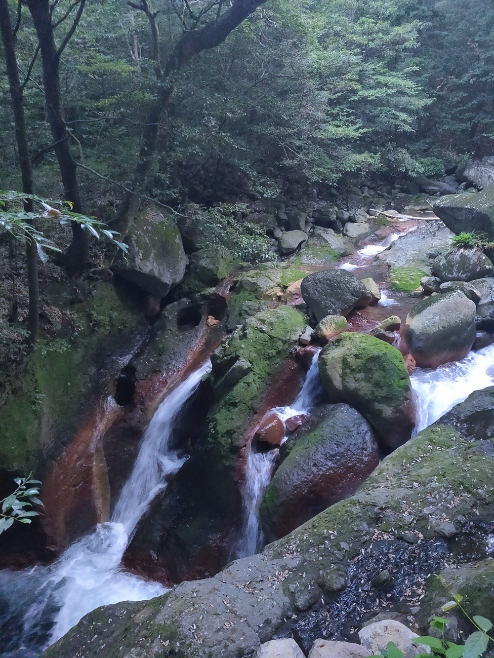 霧島温泉ランの写真4