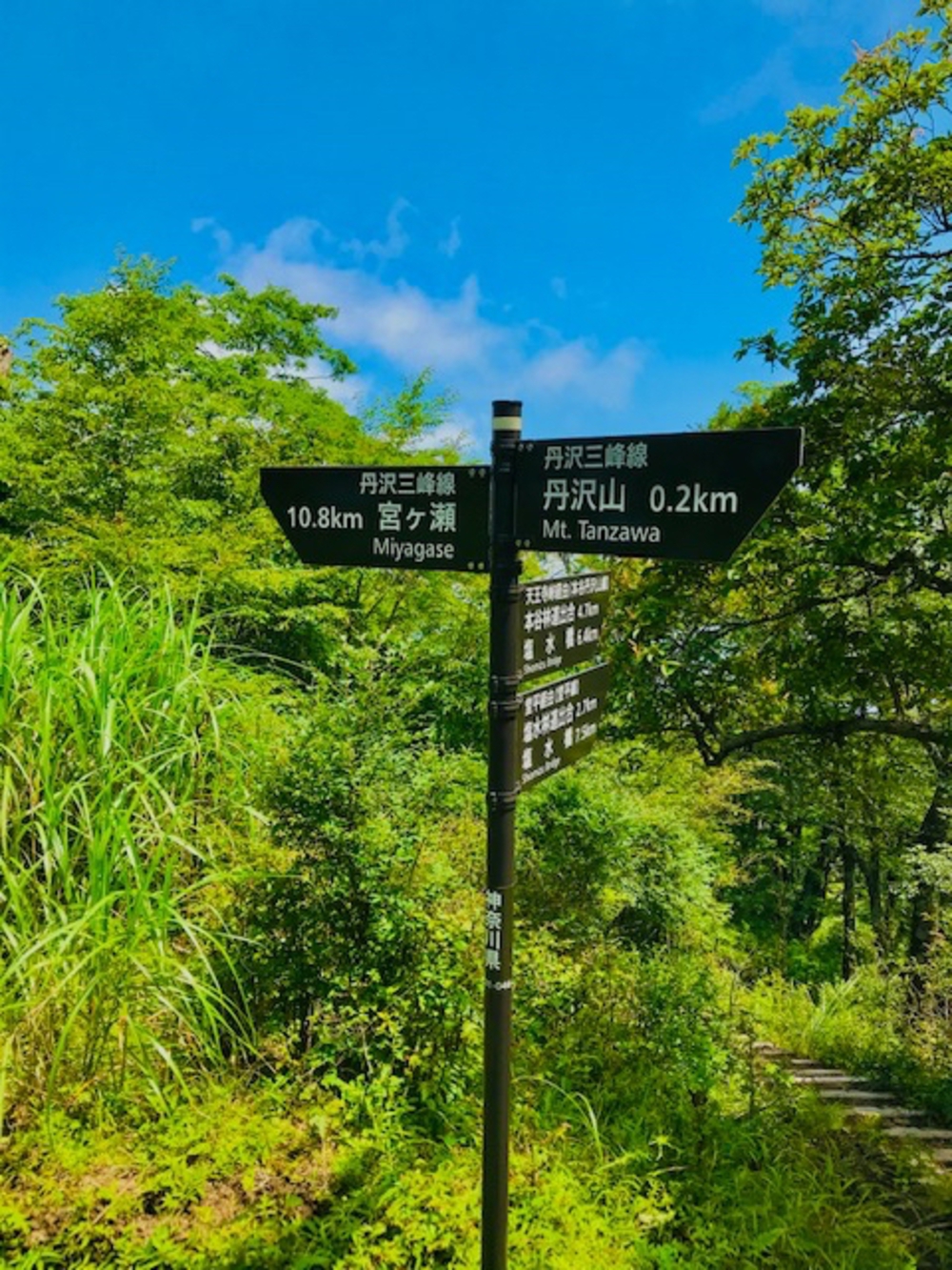 渋沢駅〜塔ノ岳〜丹沢山〜宮ヶ瀬湖までの30kmの写真5