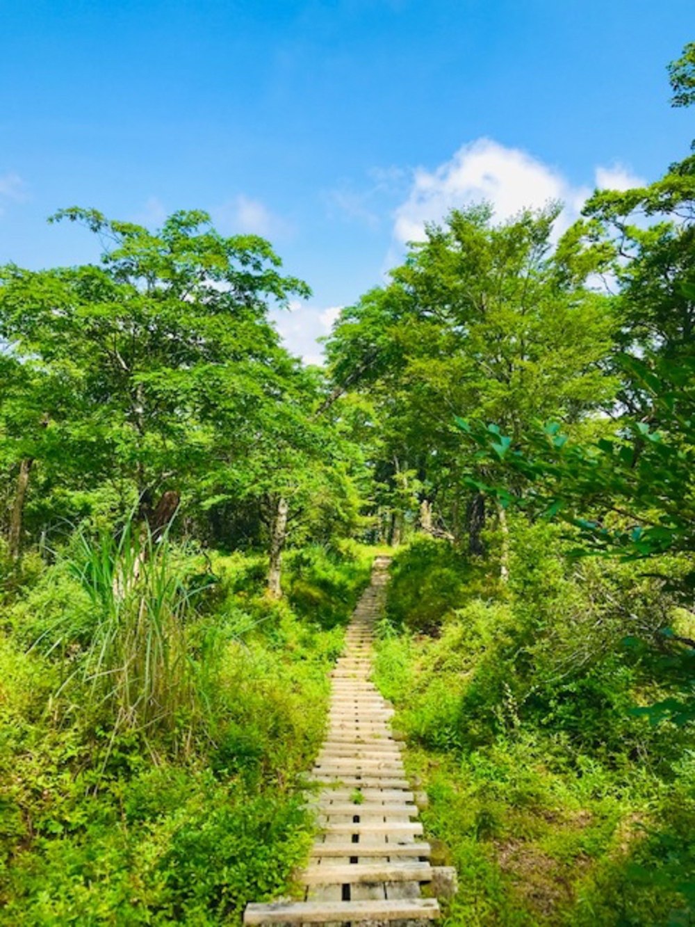 渋沢駅〜塔ノ岳〜丹沢山〜宮ヶ瀬湖までの30kmの写真6