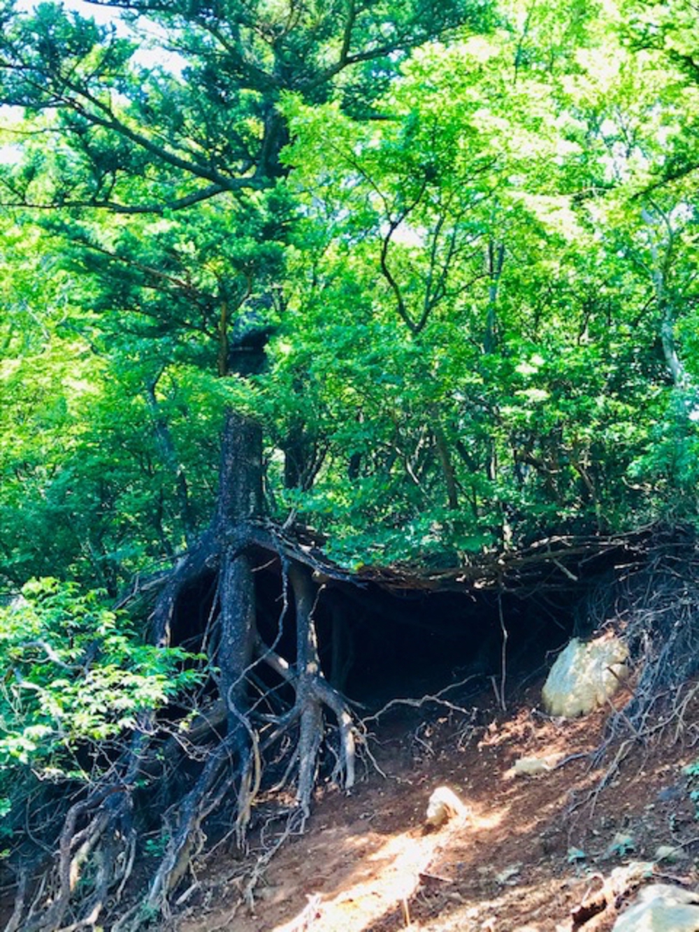 渋沢駅〜塔ノ岳〜丹沢山〜宮ヶ瀬湖までの30kmの写真8