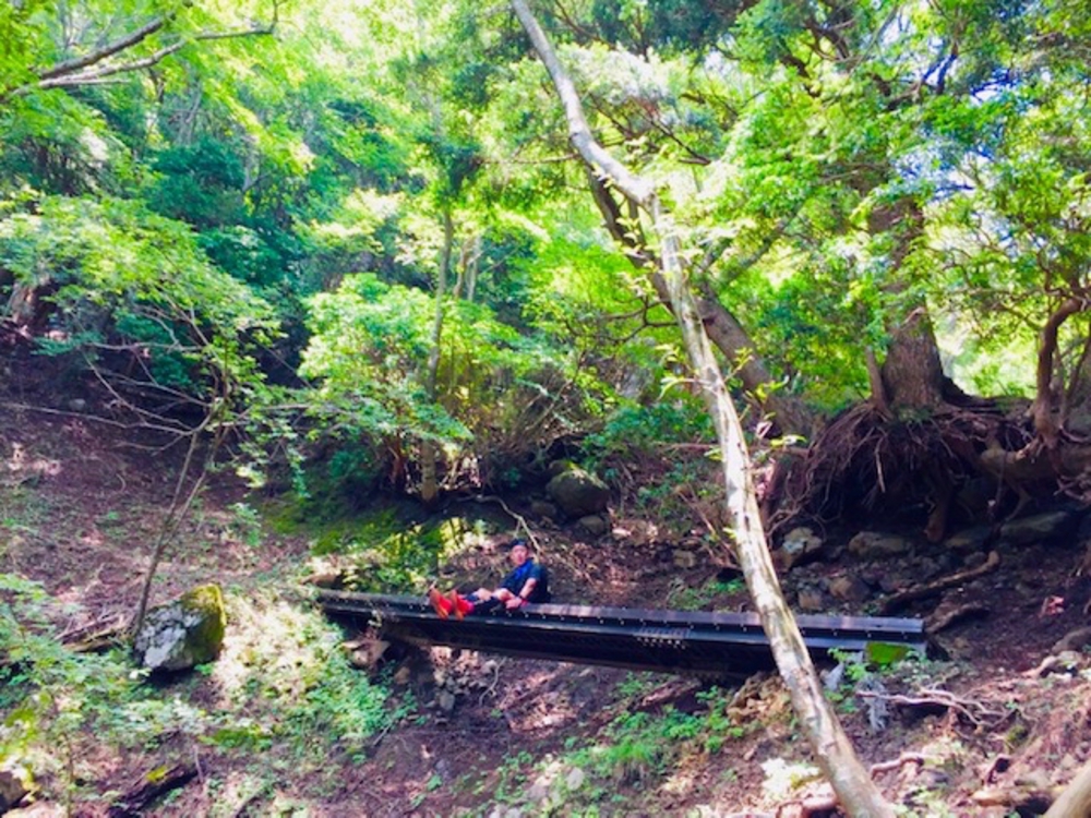 渋沢駅〜塔ノ岳〜丹沢山〜宮ヶ瀬湖までの30kmの写真9