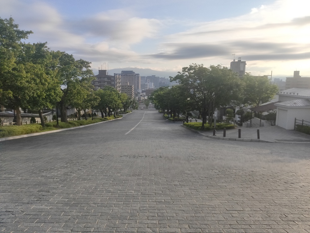 函館山登山ランの写真4