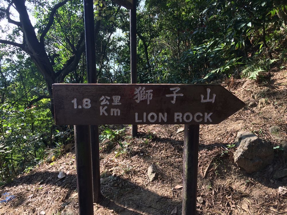 お手軽、絶景、香港の街並みを一望トレイル！の写真4