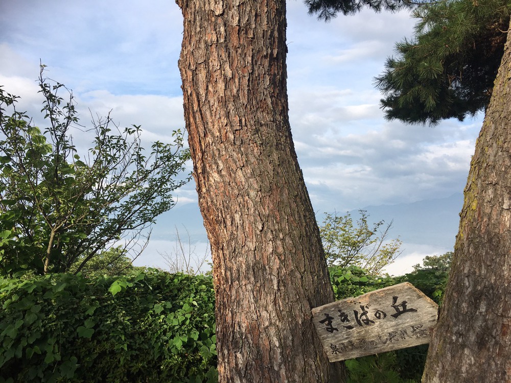 松本市を一望できる、松本城・アルプス公園「まきばの丘」コースの写真4