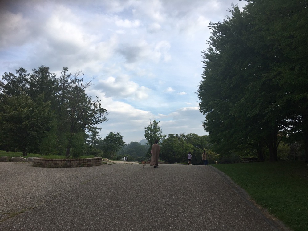 松本市を一望できる、松本城・アルプス公園「まきばの丘」コースの写真6