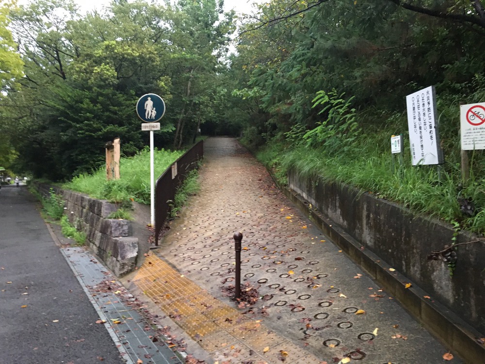 第5回「ゼントリップ」ゆるゆるランコースの写真3