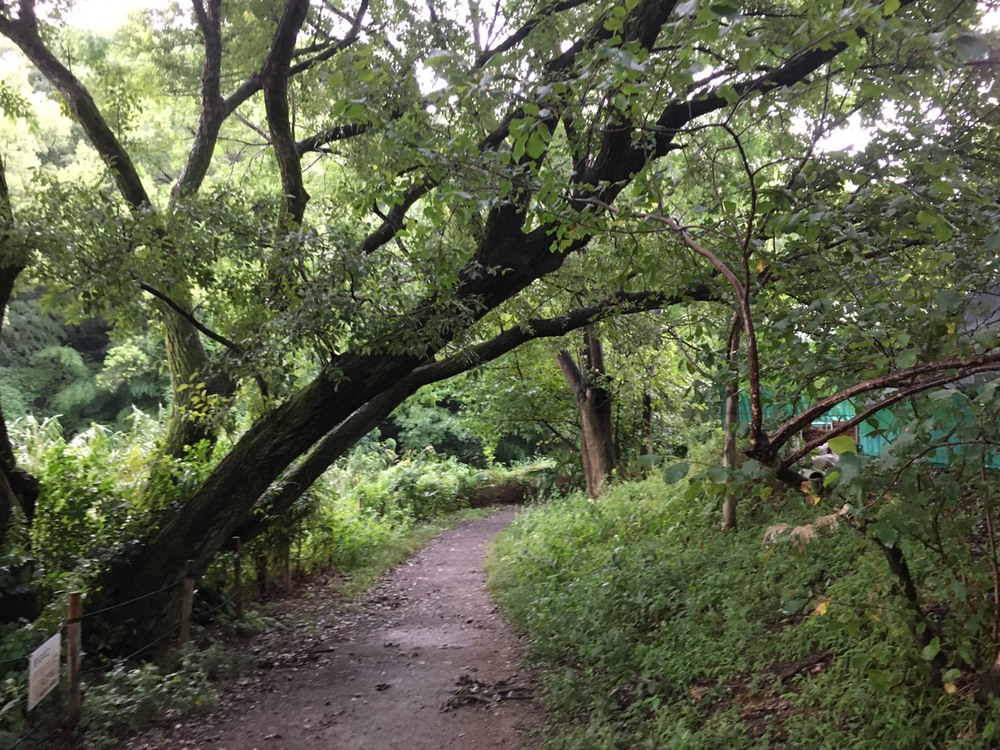 第5回「ゼントリップ」ゆるゆるランコースの写真5