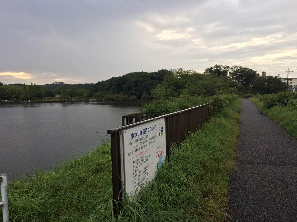 第5回「ゼントリップ」ゆるゆるランコースの写真6