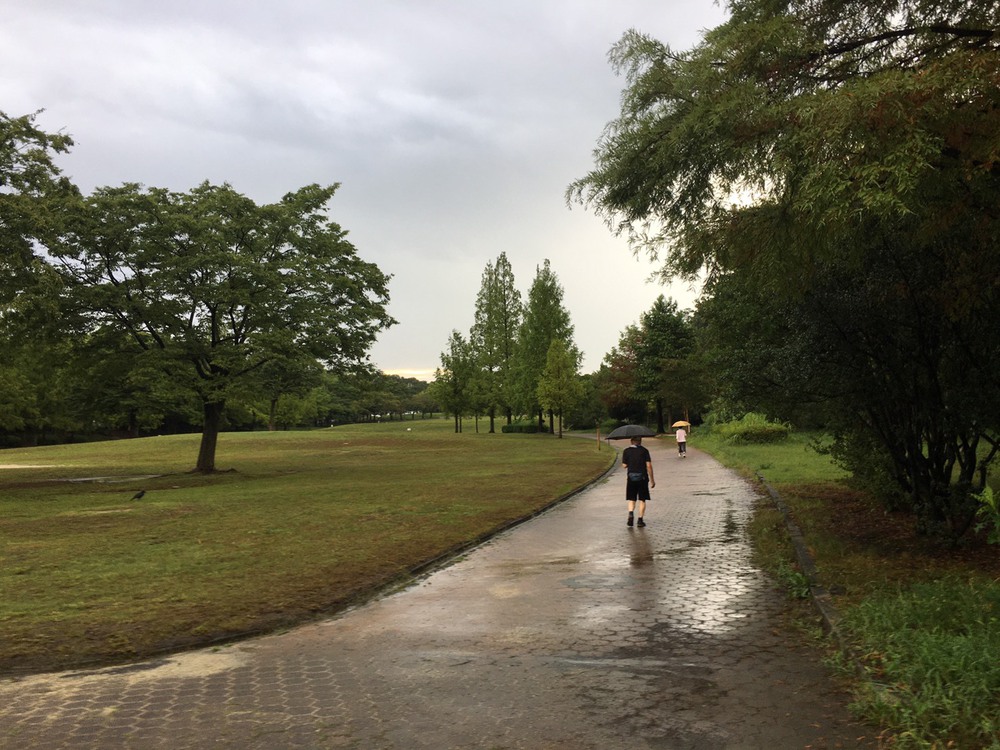 第5回「ゼントリップ」ゆるゆるランコースの写真7