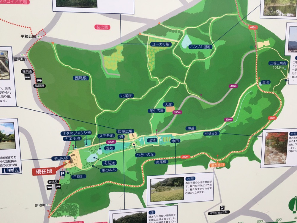 第5回「ゼントリップ」ゆるゆるランコースの写真9