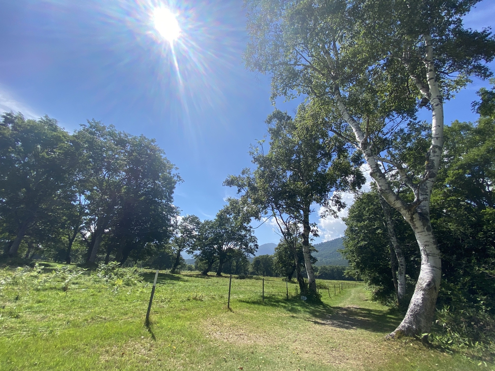 妙高高原・笹ヶ峰牧場クロカンコースの写真4