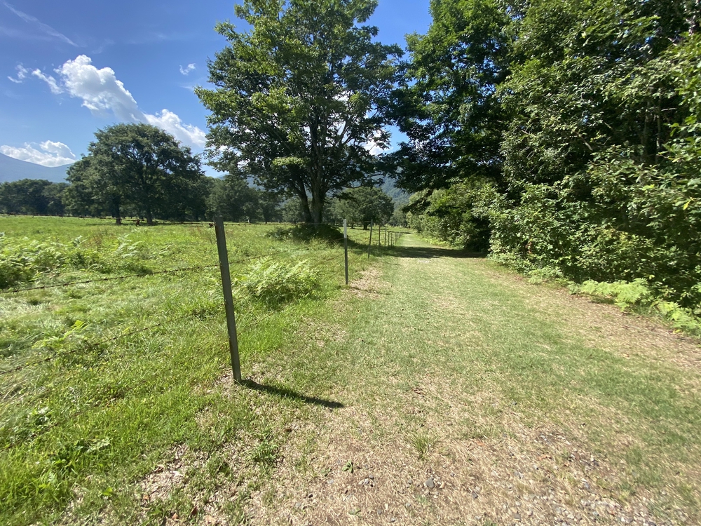 妙高高原・笹ヶ峰牧場クロカンコースの写真6