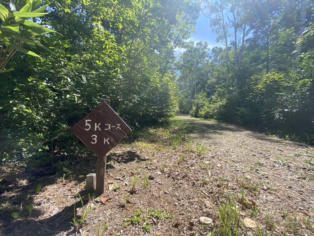 妙高高原・笹ヶ峰牧場クロカンコースの写真7