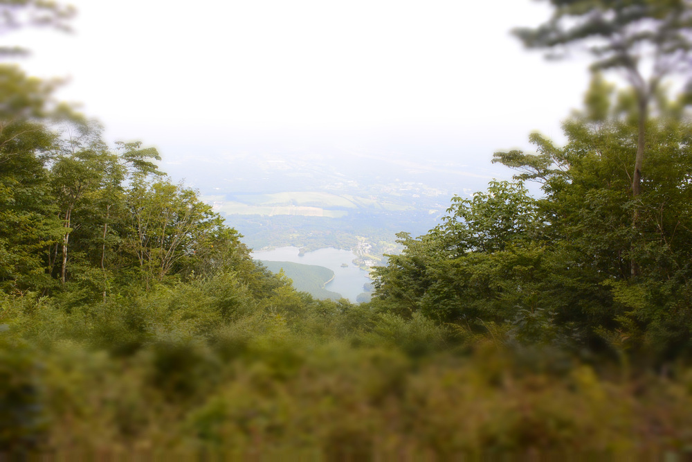 天子の森オートキャンプ場〜田貫湖～長者ヶ岳～天子ヶ岳の写真3
