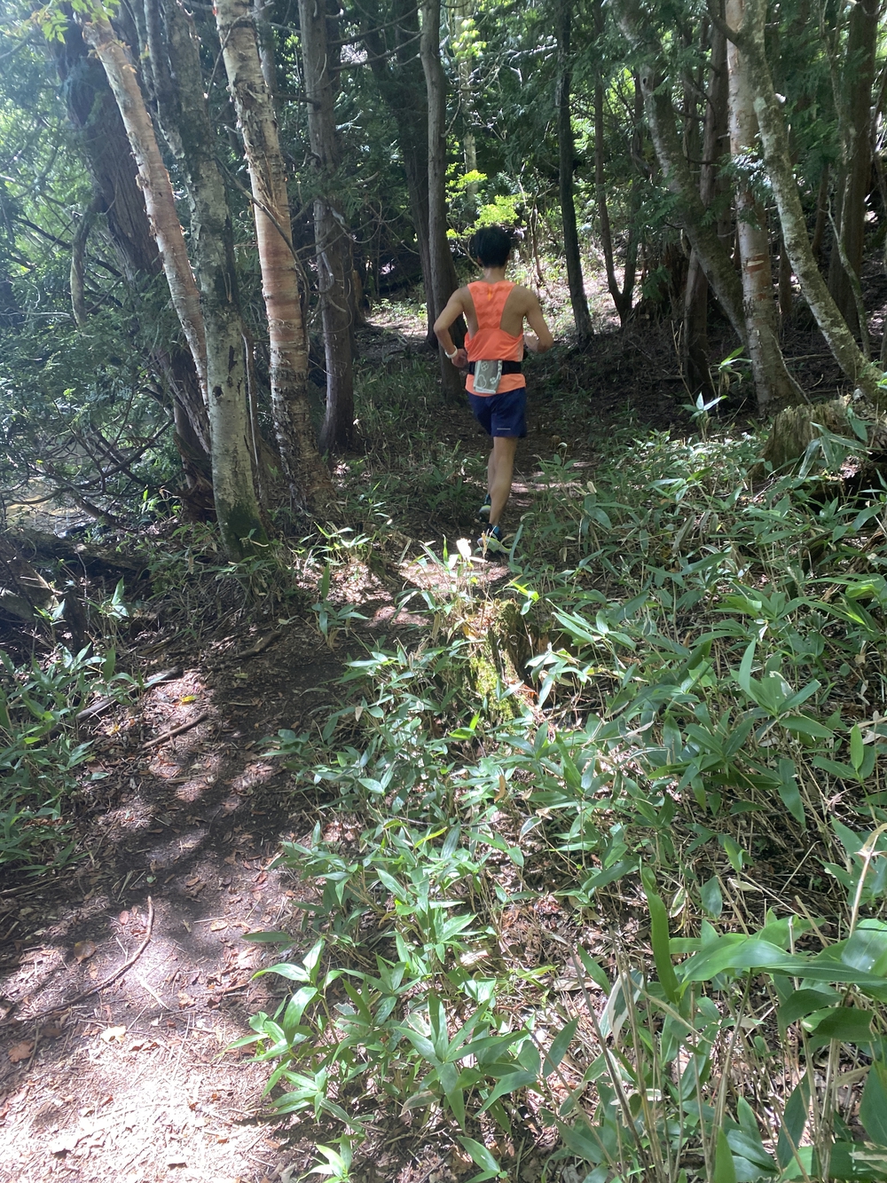 夏でも涼しく、快適なトレラン・クロカンコースの写真3