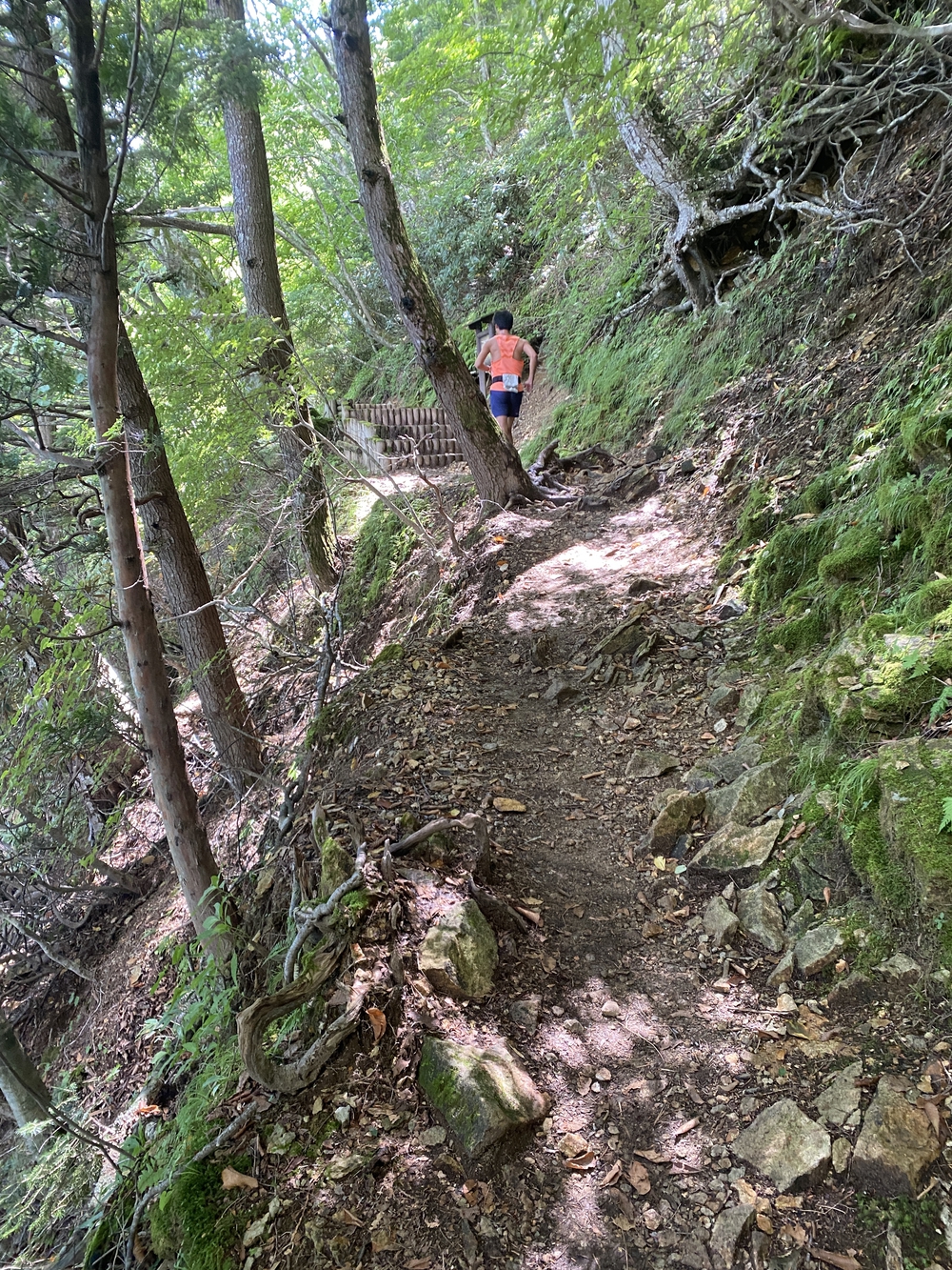 夏でも涼しく、快適なトレラン・クロカンコースの写真4