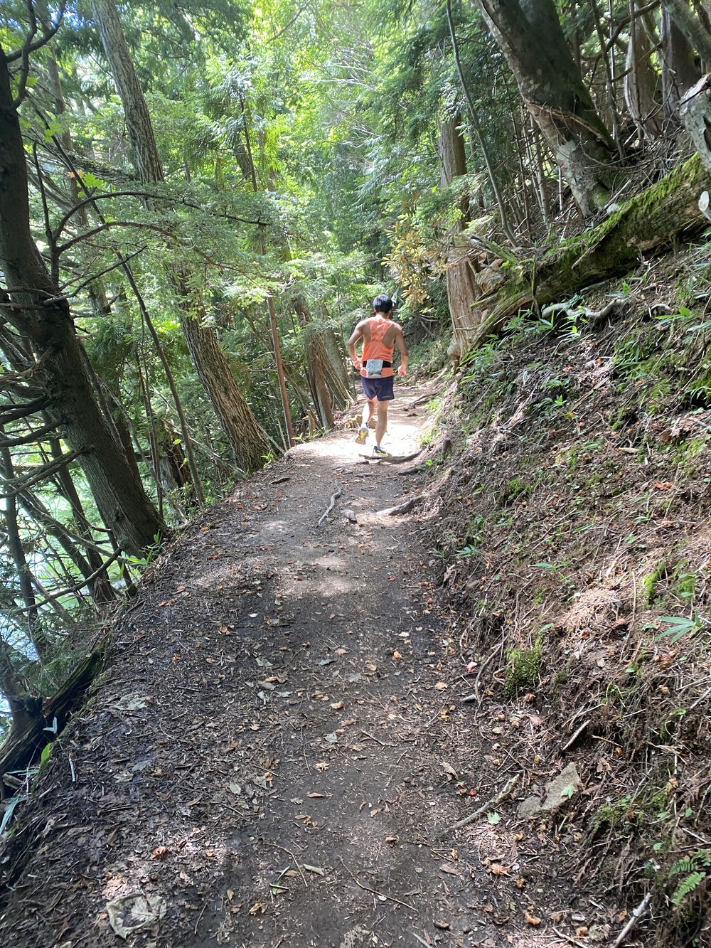 夏でも涼しく、快適なトレラン・クロカンコースの写真5