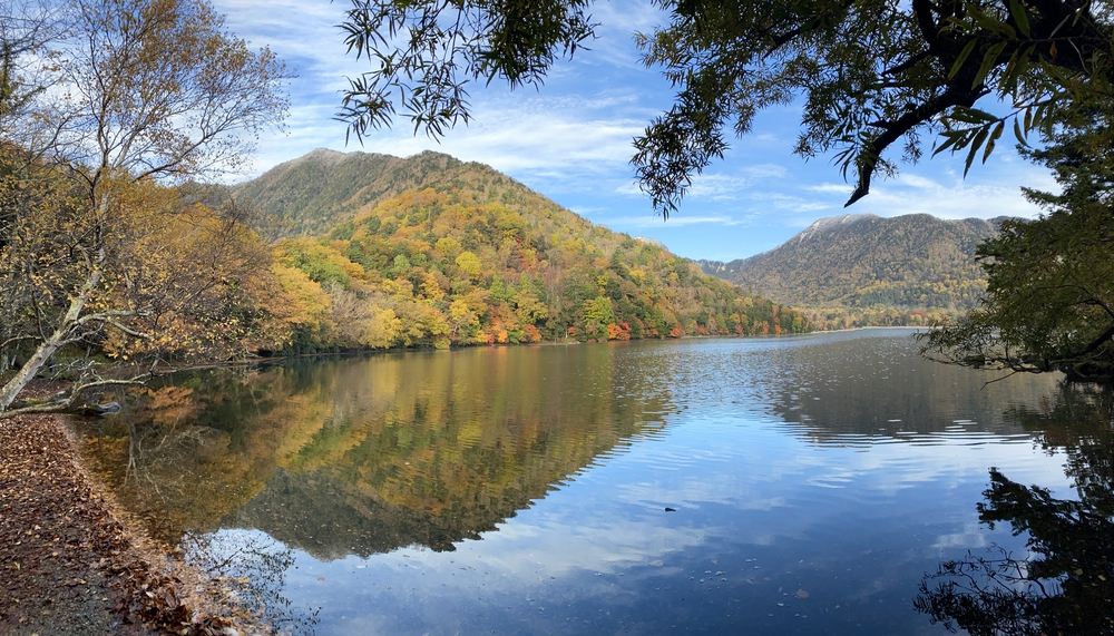 夏でも涼しく、快適なトレラン・クロカンコースの写真7