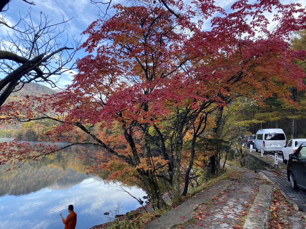 夏でも涼しく、快適なトレラン・クロカンコースの写真8