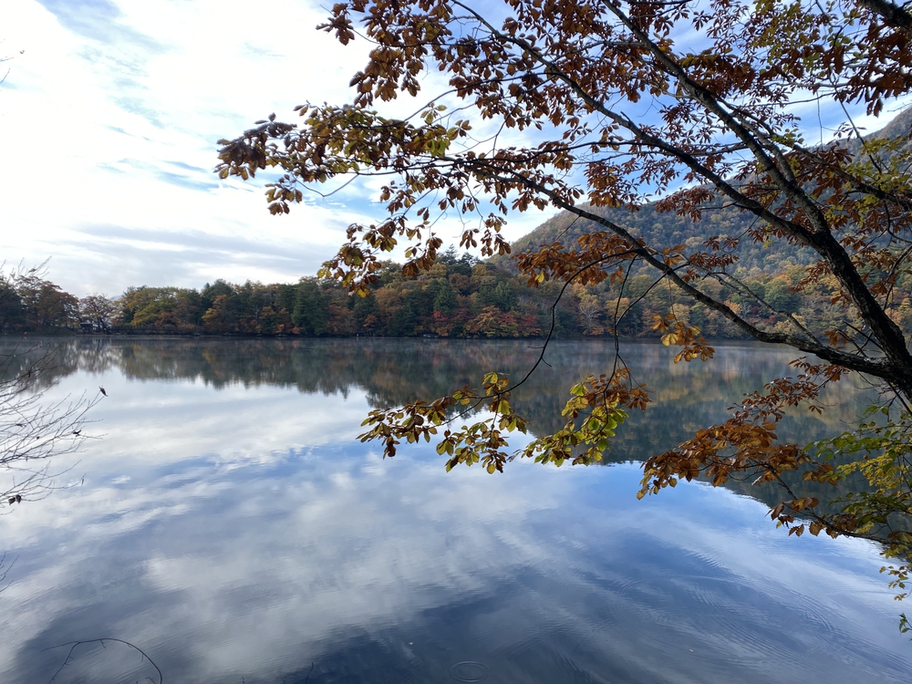 夏でも涼しく、快適なトレラン・クロカンコースの写真9
