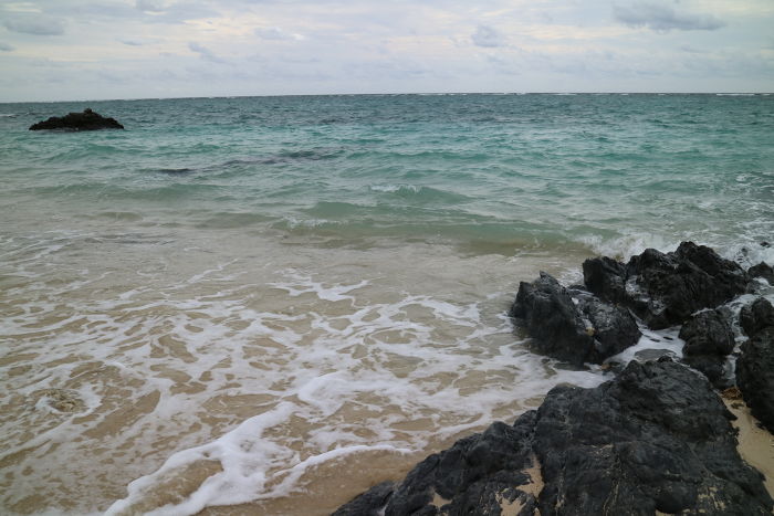 奄美・朝ランコース_ビーチ編の写真3