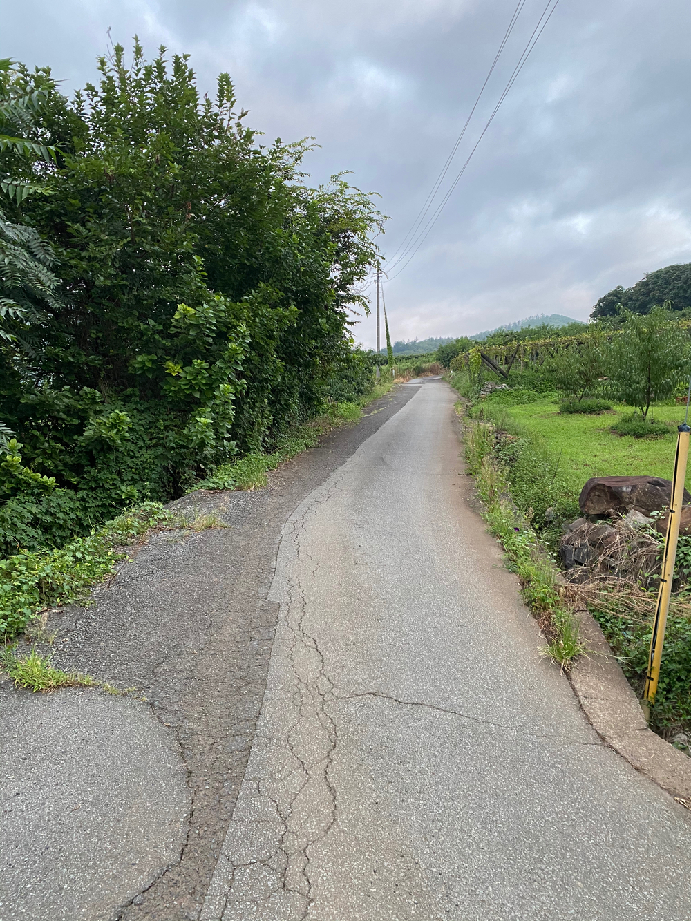 ほったらかし温泉ランニング【地獄のフルーツライン】の写真7