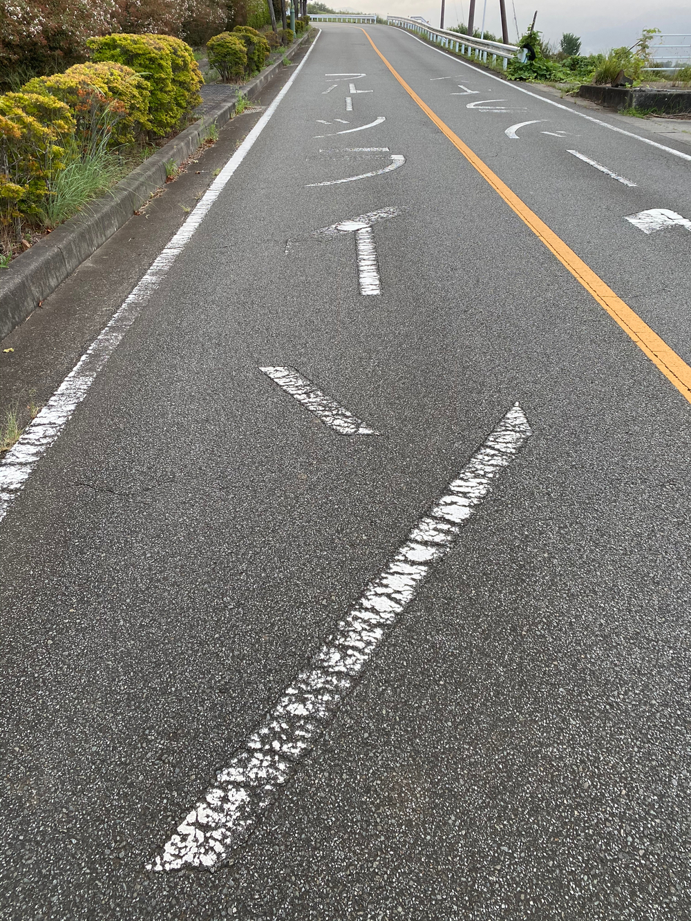 ほったらかし温泉ランニング【地獄のフルーツライン】の写真8