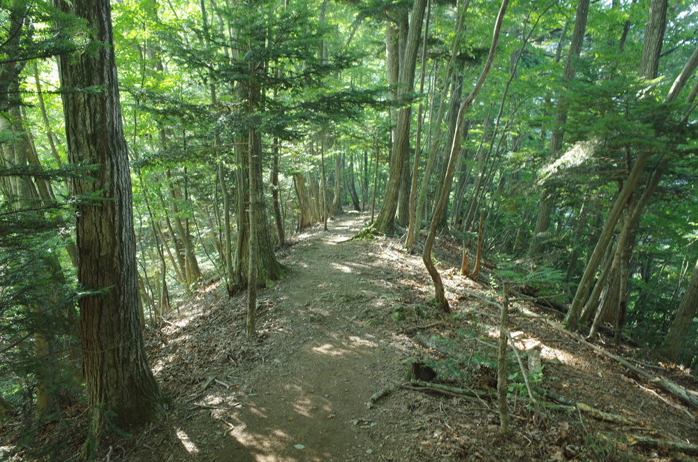 奥多摩トレイルラン：御前山の写真4