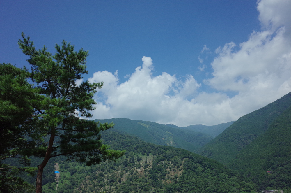 奥多摩トレイルラン：御前山の写真10