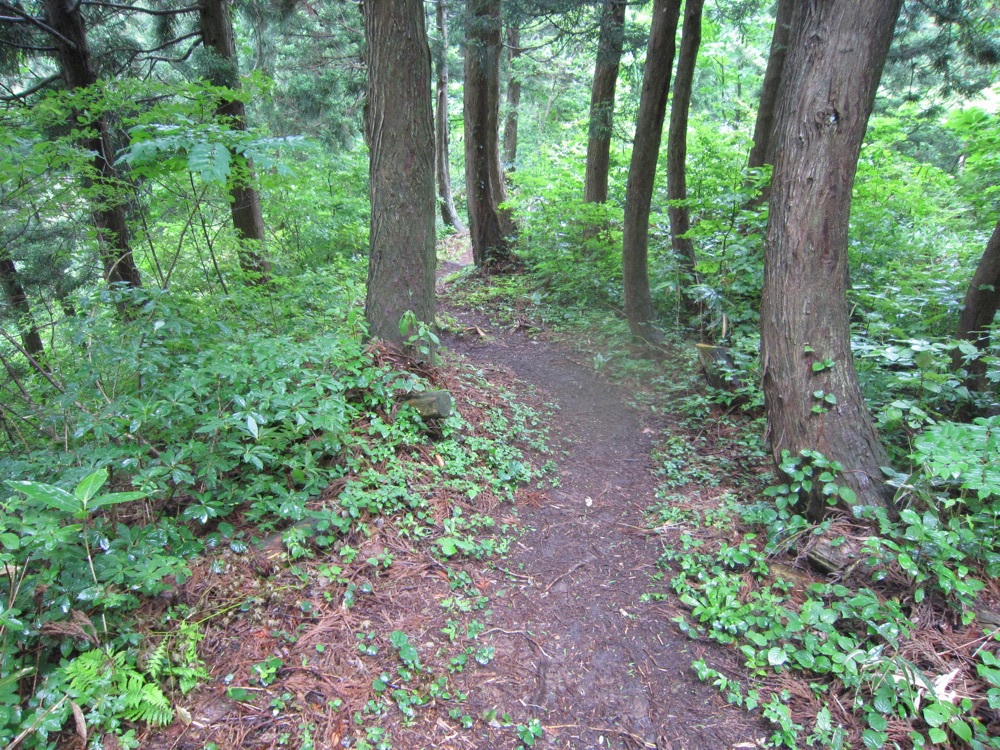 庄川水記念公園より八乙女山ピークハント周回、ハーフおまけの写真5