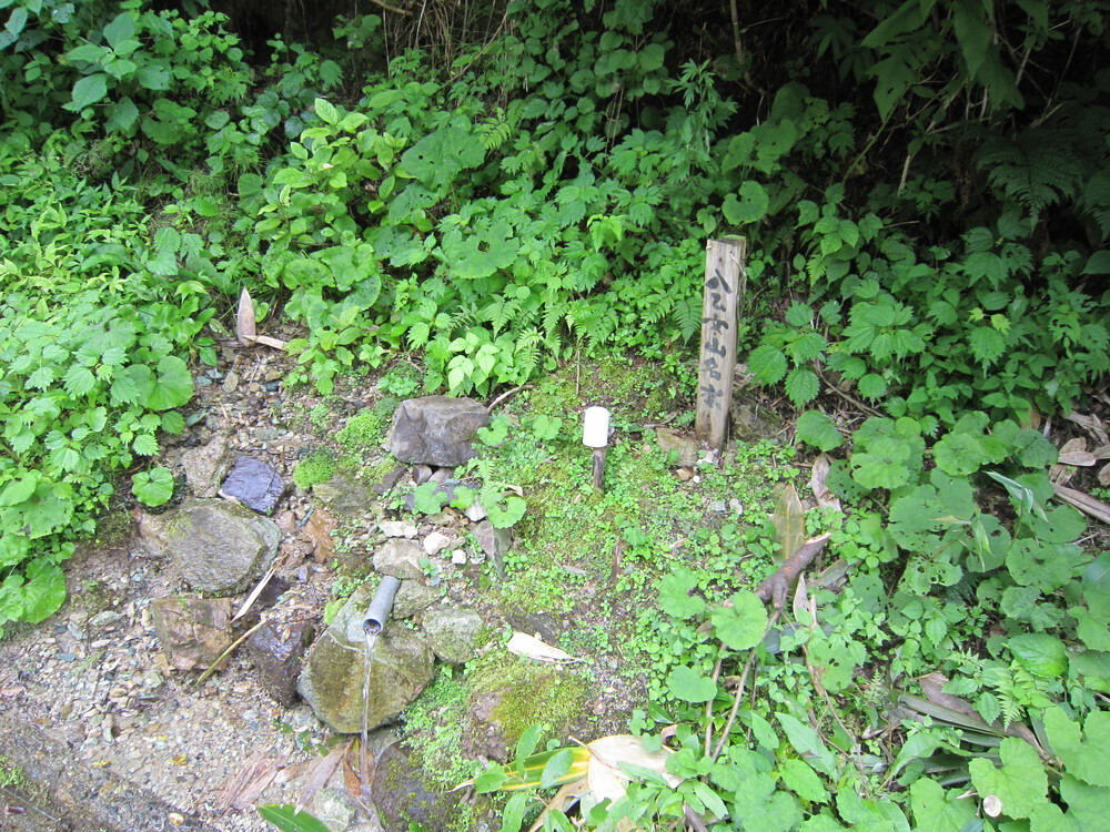 庄川水記念公園より八乙女山ピークハント周回、ハーフおまけの写真8