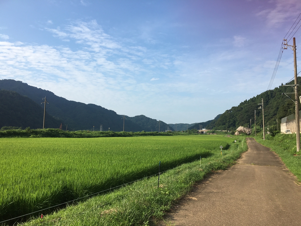 超危険！もう二度と走りたくない、恐怖の暗闇トンネルランコースの写真6