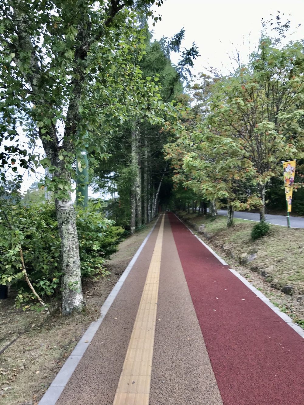 白樺湖1周ランニングコースの写真8