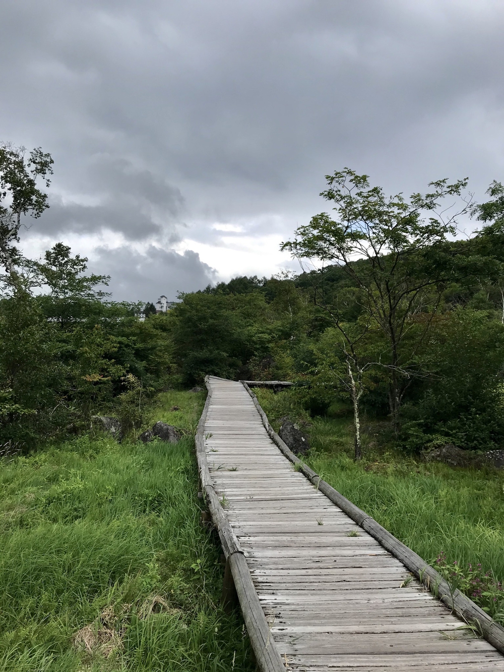 白樺湖1周ランニングコースの写真11