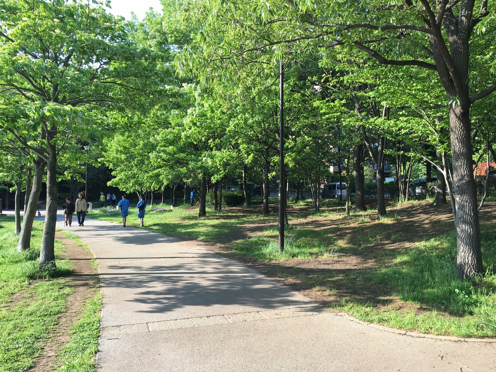 港北ニュータウン緑道一周の写真3
