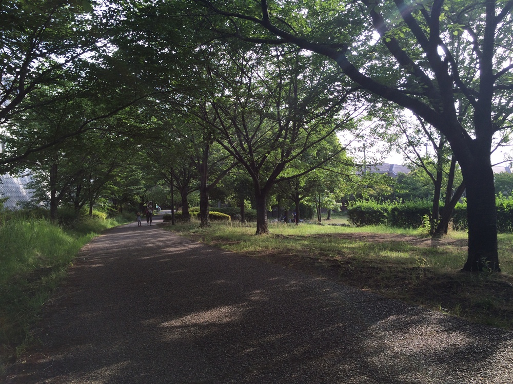 港北ニュータウン緑道一周の写真4