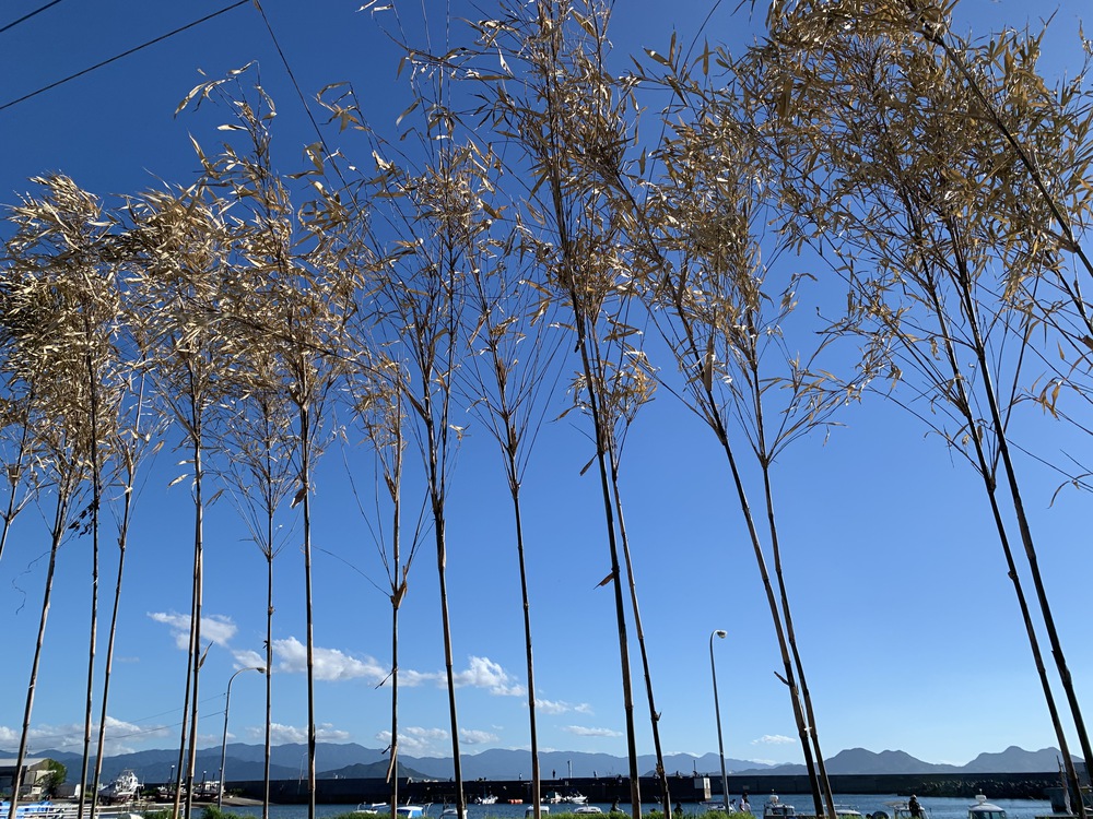 夏の志賀島　海と歴史を体感するコースの写真15