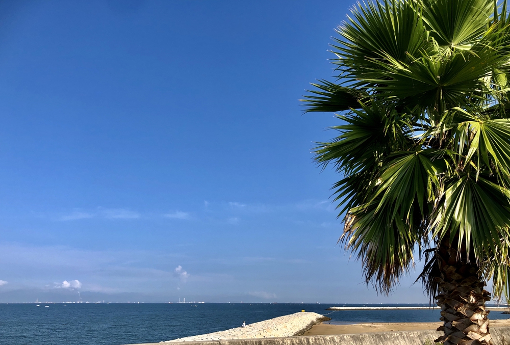 海岸沿いで綺麗な景色を見ながら、リフレッシュできるコース。の写真4