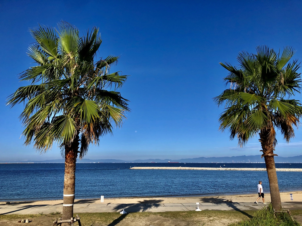 海岸沿いで綺麗な景色を見ながら、リフレッシュできるコース。の写真5