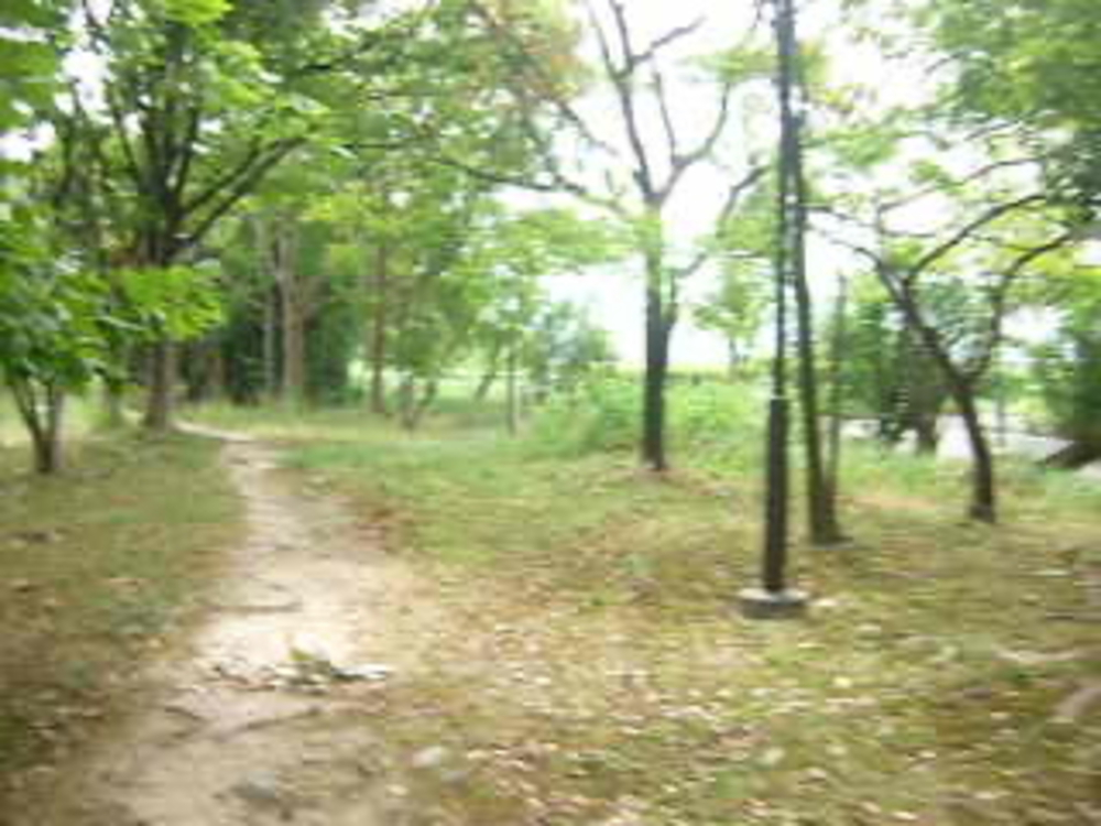 大阪国際空港１周の写真3