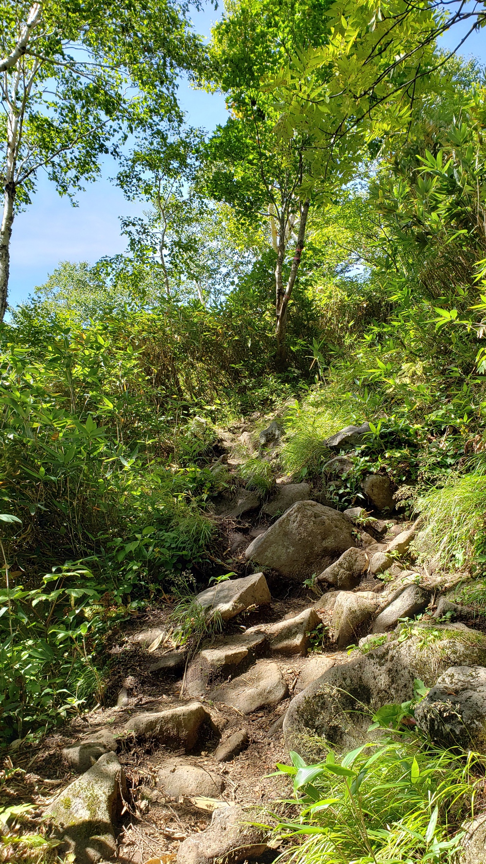 札幌・手稲山コースの写真3