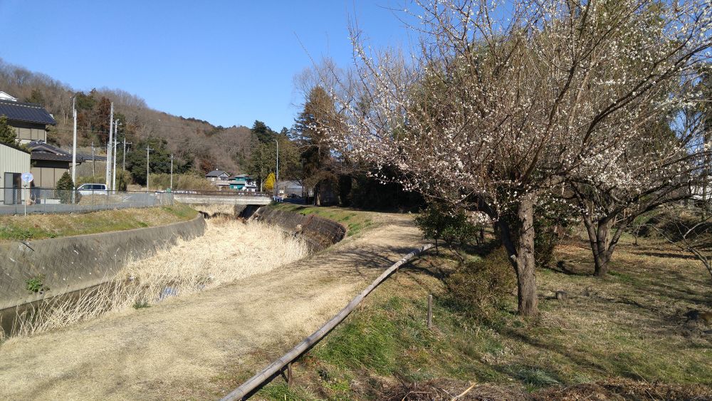 木曽義仲ゆかりの里山の道の写真4